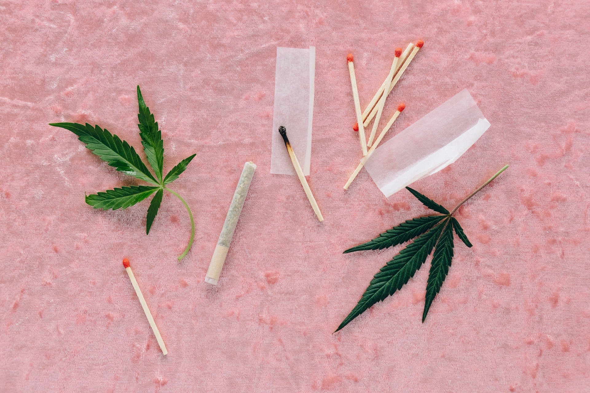 What Does The Shape Of The Cannabis Leaf Mean?