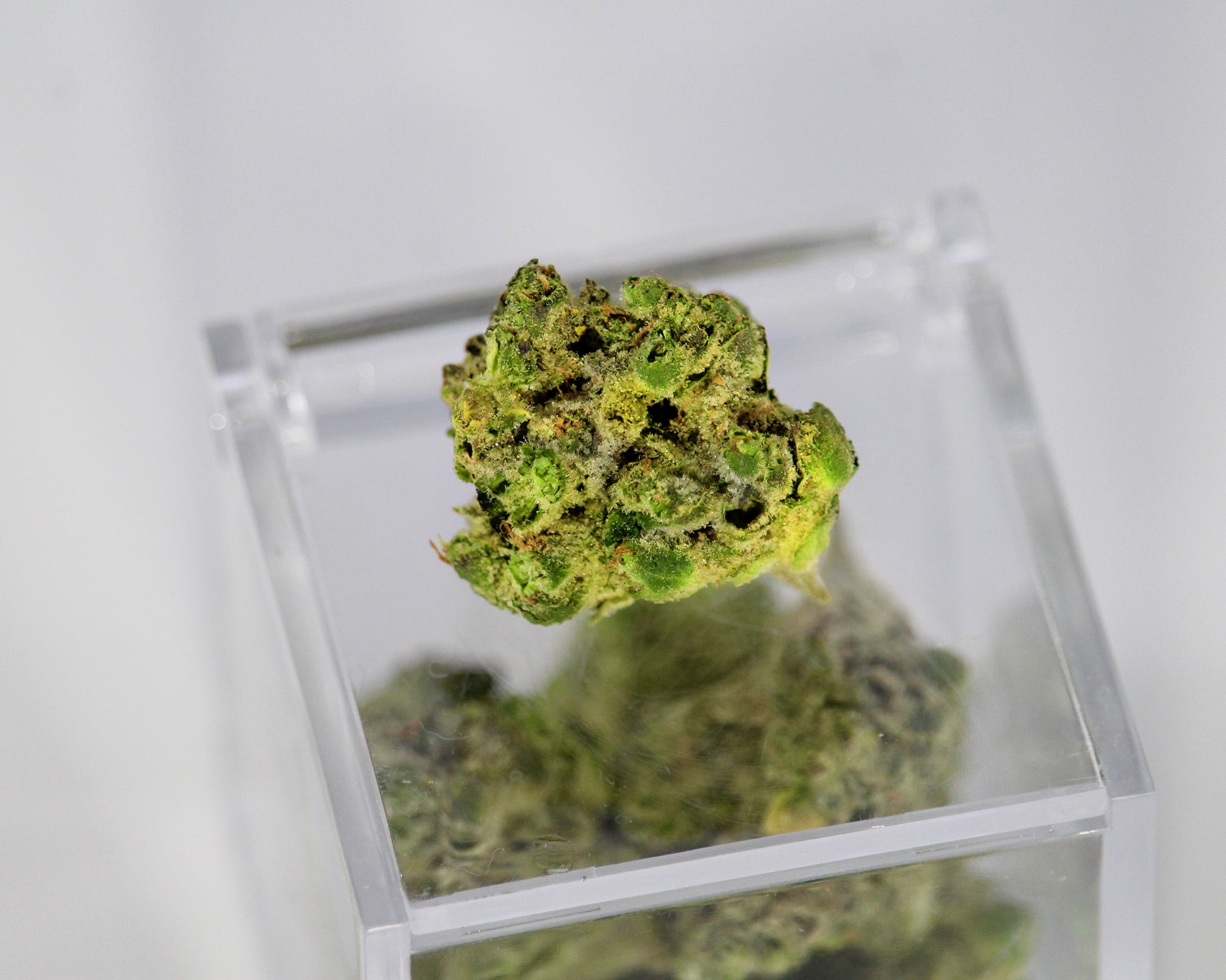 What are Terpenes (And Why is Vaping The Best Way to Experience Them?) What are Terpenes (And Why is Vaping The Best Way to Experience Them?)